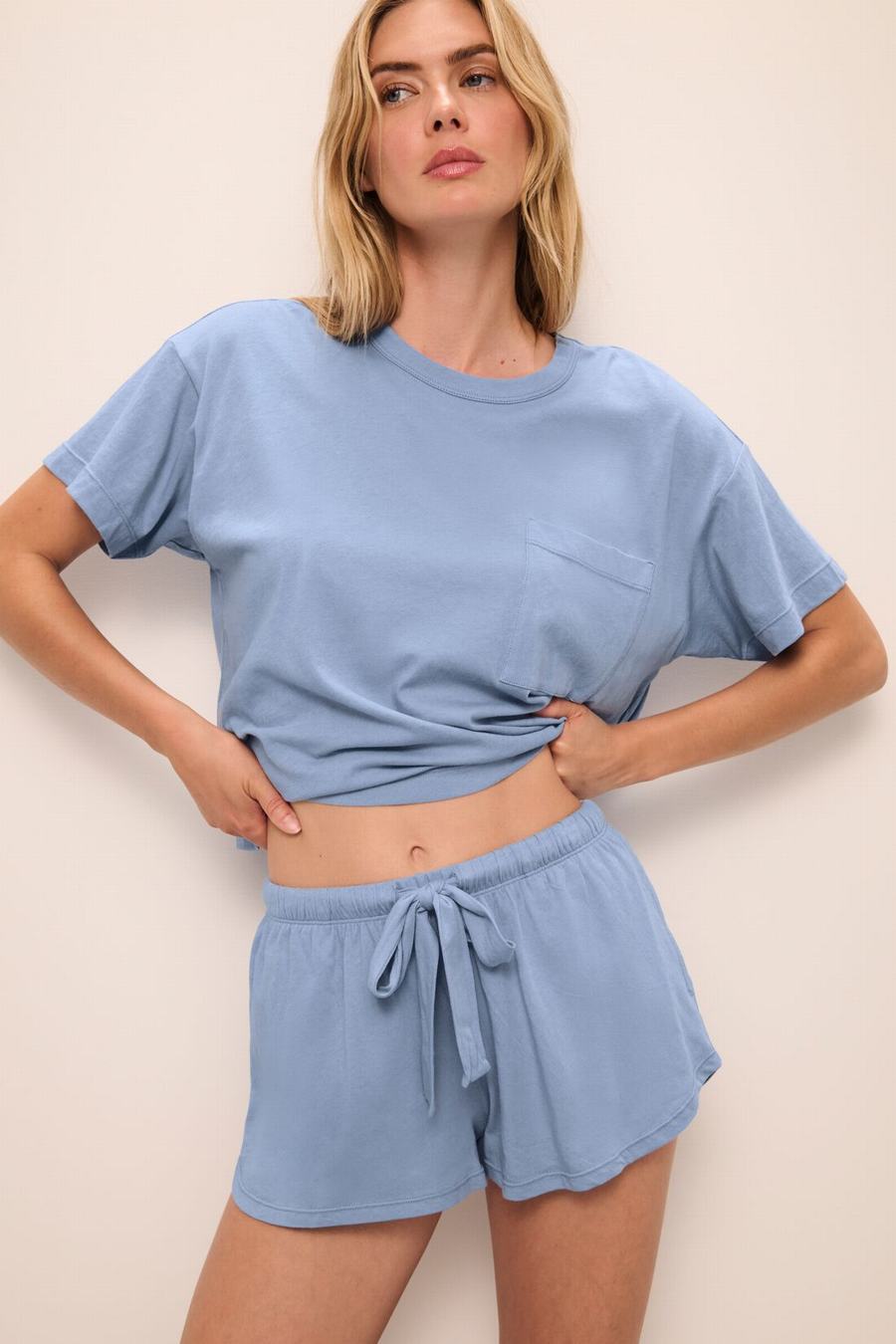 Blue Women Eberjey Aloe Cotton Short Sleeve T-Shirt | PDT5778UF